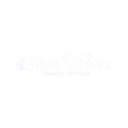 Projeto Blue Shine (4)